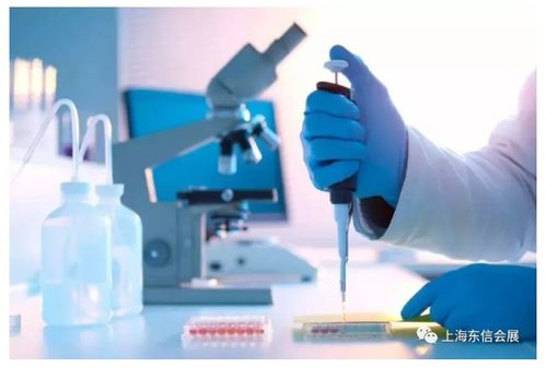 醫(yī)療器械主要領域發(fā)展現狀分析